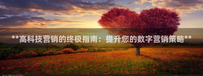 金年会体育一直输