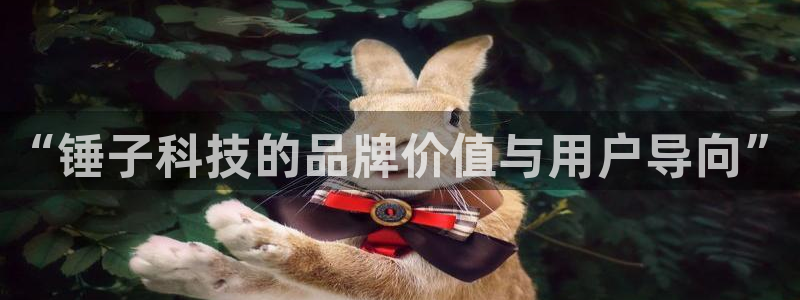 金年会ivp