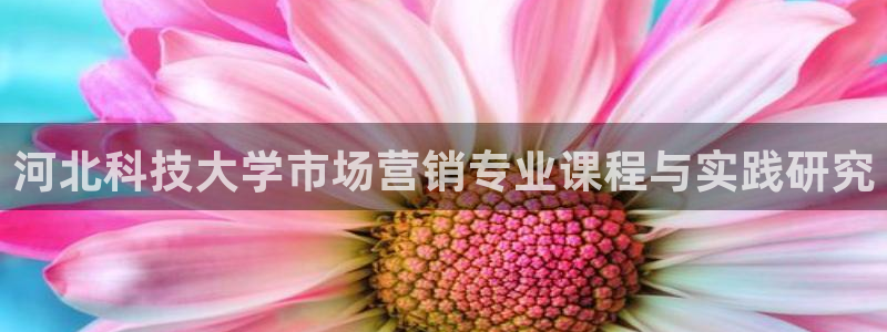 金年会体育在线