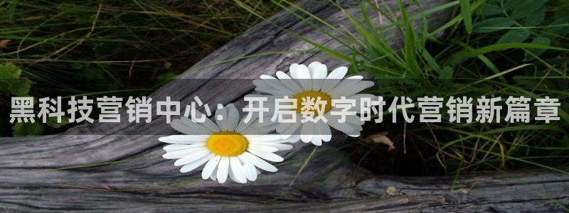 金年会 金字招牌诚信至上Vip
