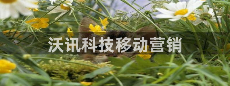 金年会官方入口网站下载