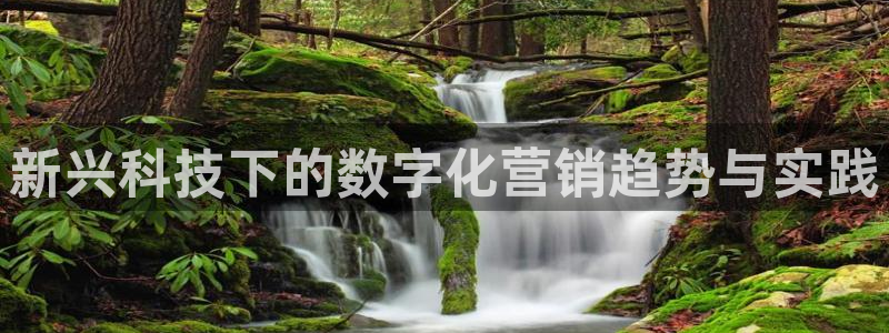 金年会app官方网站入口