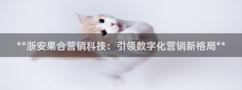 金年会体育官网app