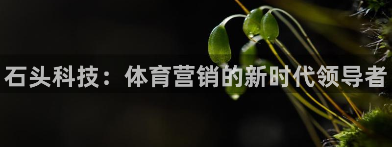 金年会体育app官网入口