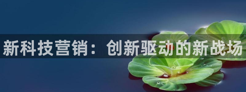 金年会app官网登录
