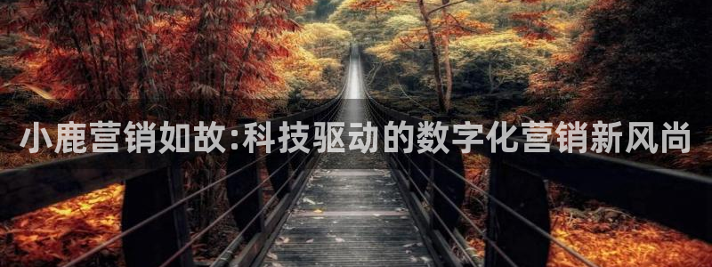 金年会在线入口