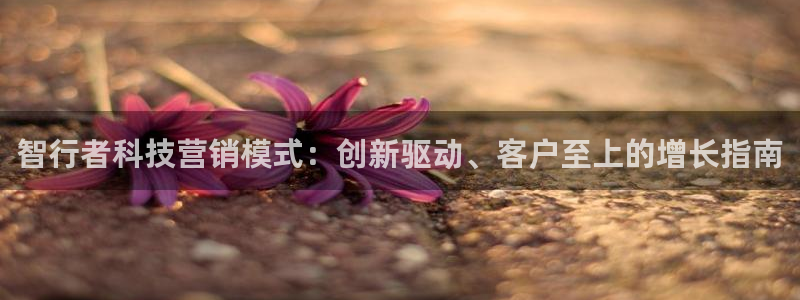 金年会体育合法吗