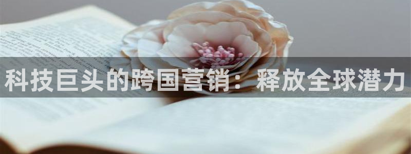 金年会网站提现一直显示审核当中怎么办