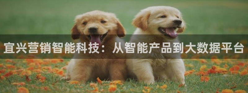 金年会是什么平台