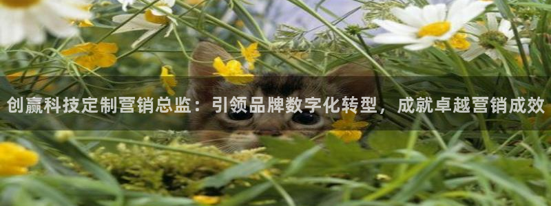 金年会网址导航下载安装