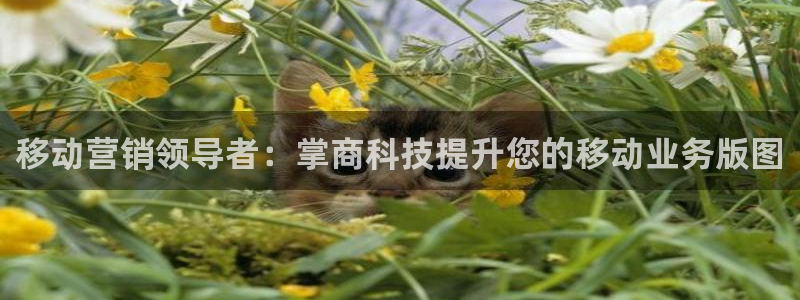 金年会信誉至上