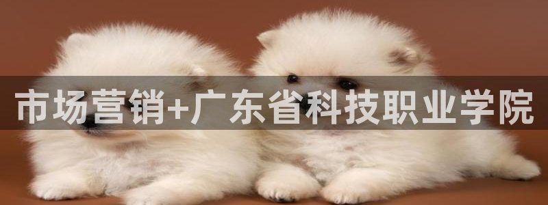 金年会金字招牌是什么意思