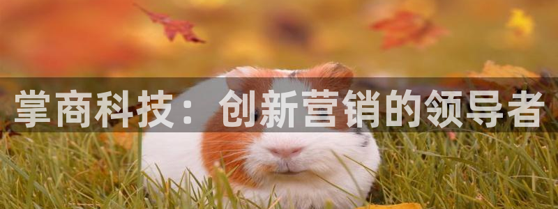 金年会体育app平台怎么样