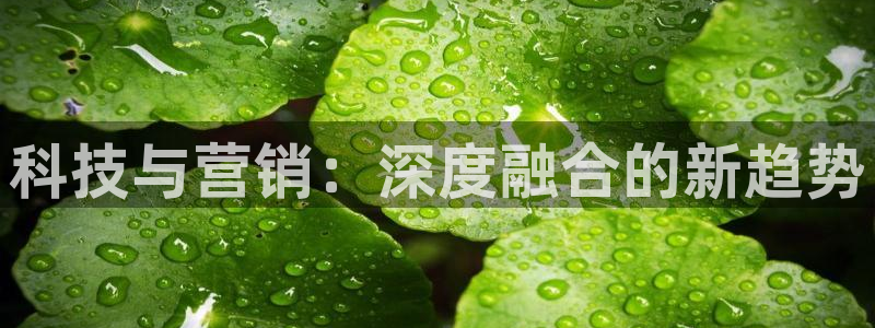 金年会手机网页版下载