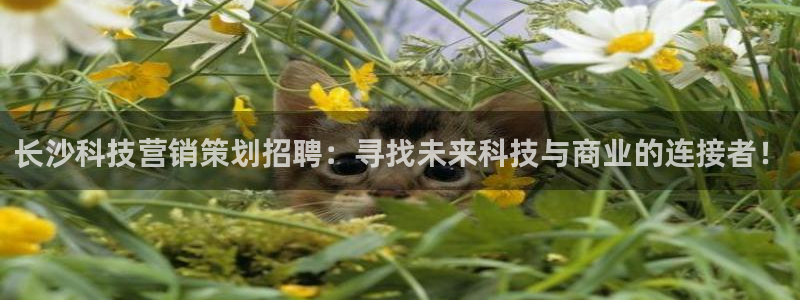 金年会ivp