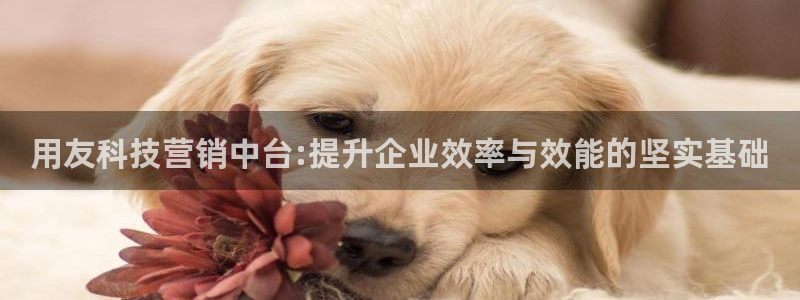 金年会app平台有人玩过吗知乎