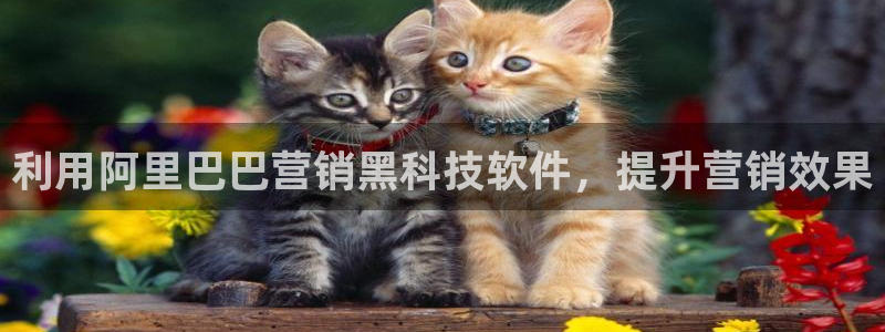 金年会官网登入