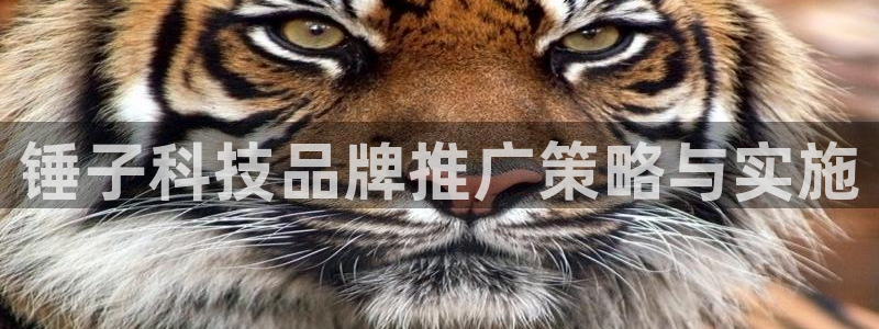 金年会 金字招牌诚信至上欢迎您