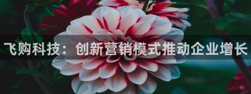 金年会官方app下载安装