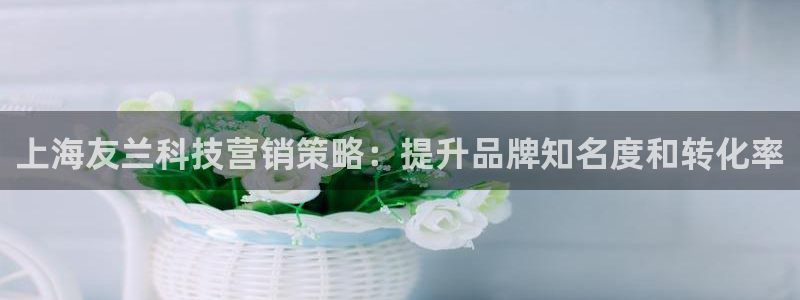 金年会体育app下载官网安卓