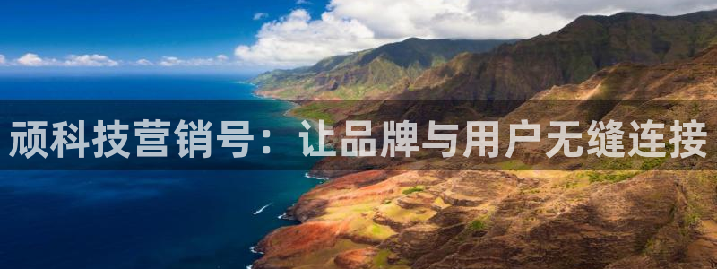 金年会体育电子官方网站