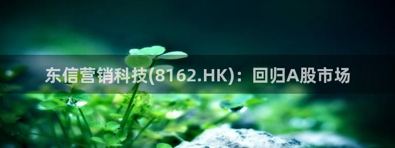 金年会体育论坛