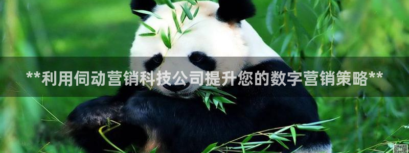 金年会体育竞彩app