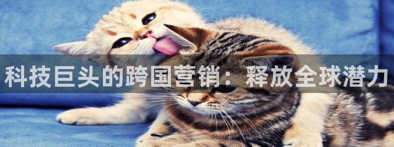 金年会官方网站入口网址