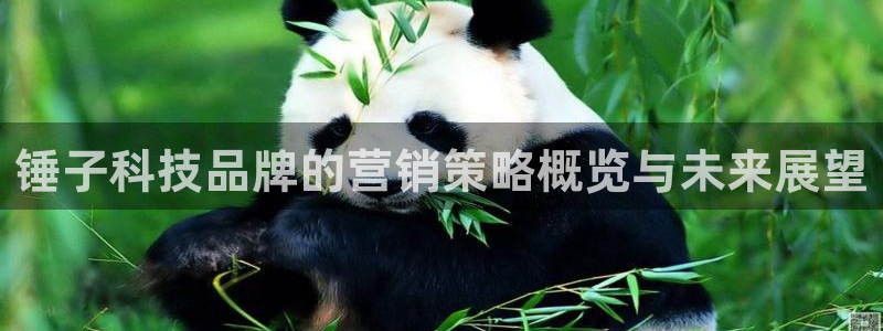 金年会VIP