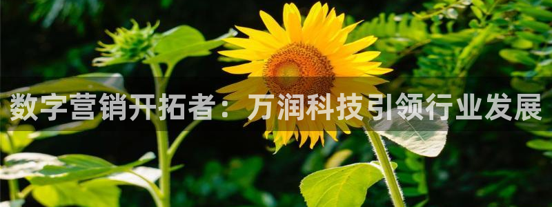 金年会体育app下载官网安卓版