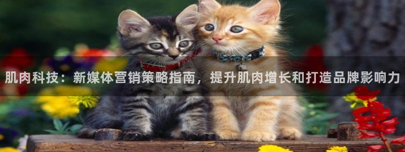 金年会官方在线入口网站