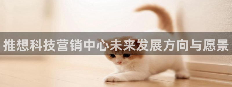 金年会体育平台怎么样