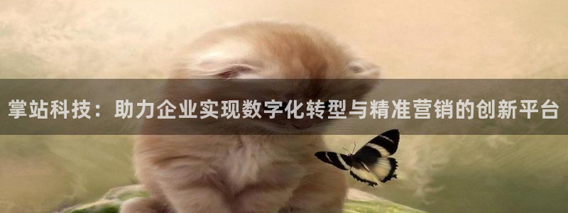 金年会体育app