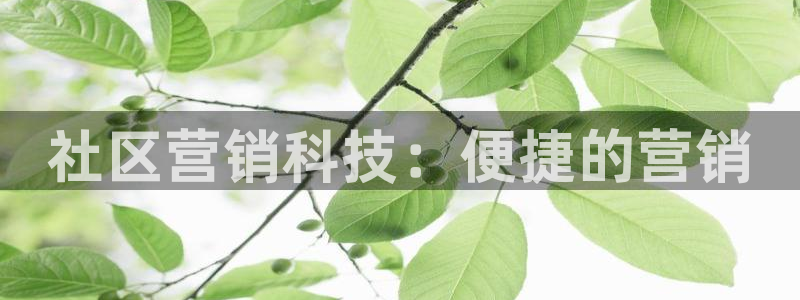 金年会app官方网站