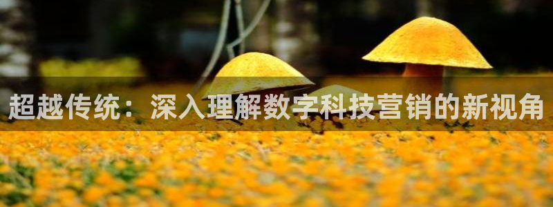 金年会体育app是干嘛的