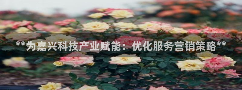 金年会体育官方app下载安装