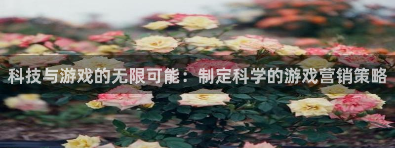 金年会体育app下载官网苹果