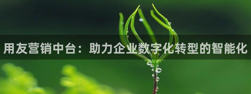金年会体育官网是多少