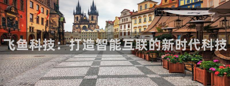 金年会体育app平台怎么样