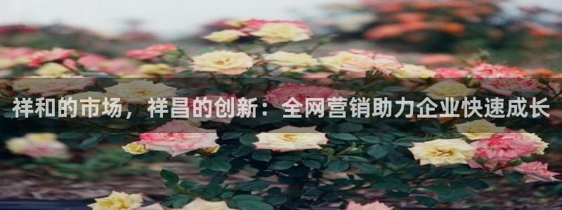 金年会官方网站首页入口