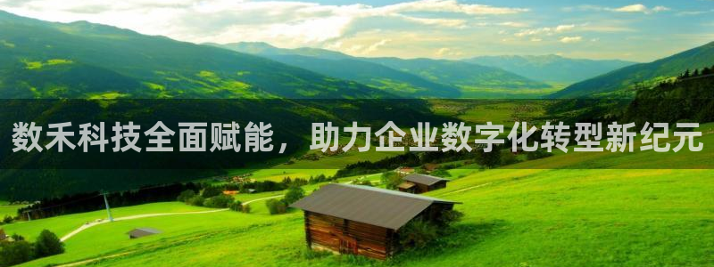 金年会平台怎么样