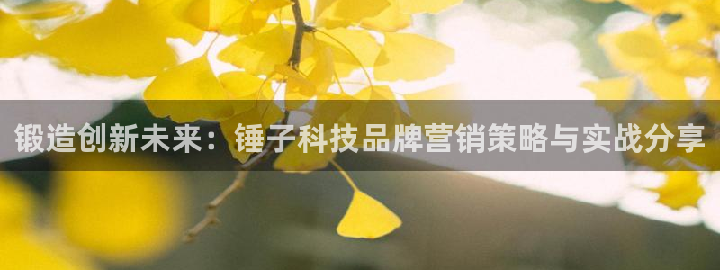 jinnianhui金年会下载