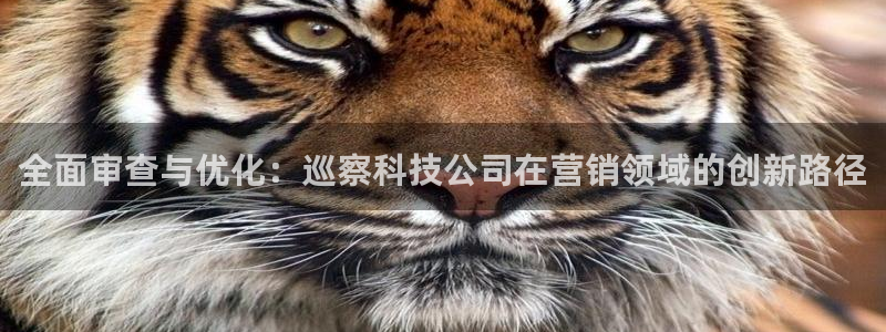 jinnianhui金年会官网