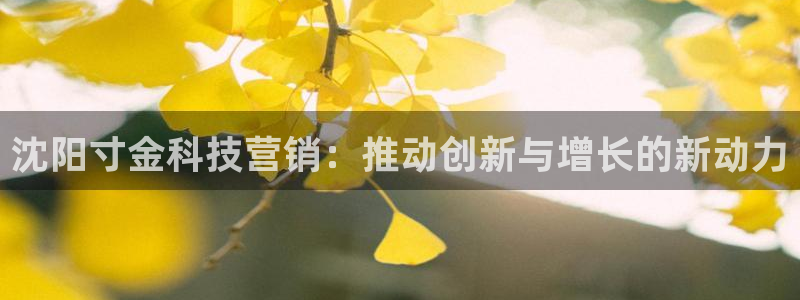 金年会体育登陆