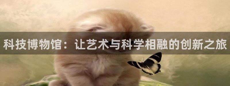 金年会官方网站入口app