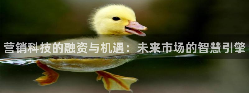 金年会金字招牌信誉至上