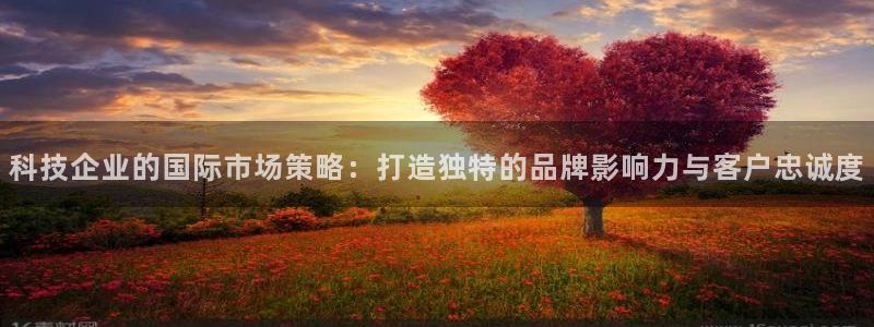 金年会体育app平台怎么样可靠吗