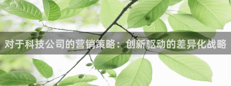 金年会官方在线入口网站2023