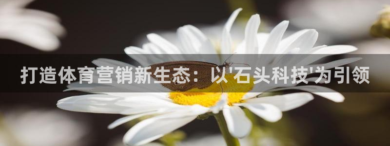 金年会金字招牌网址