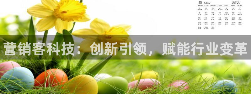 金年会体育平台官网app